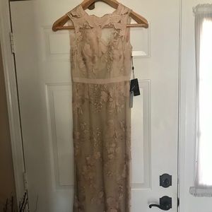 Adrianna Papell Blush Gold Gown